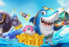 壹号.ccm下载168最新版