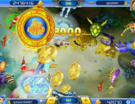 壹号.ccm下载1682024最新版